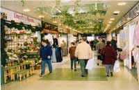 Queensgate Arcade, looking North